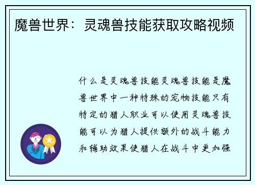 魔兽世界：灵魂兽技能获取攻略视频